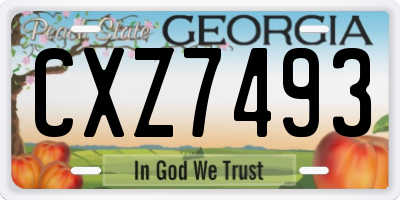 GA license plate CXZ7493
