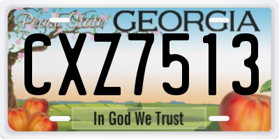 GA license plate CXZ7513