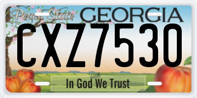 GA license plate CXZ7530
