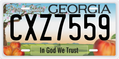 GA license plate CXZ7559