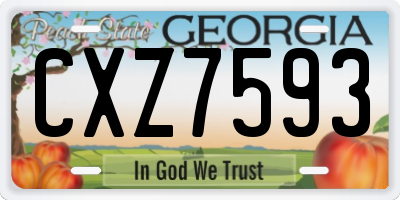 GA license plate CXZ7593