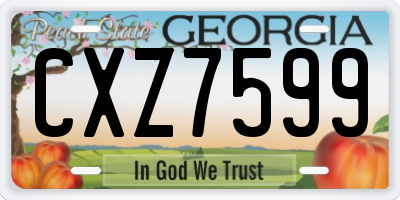 GA license plate CXZ7599