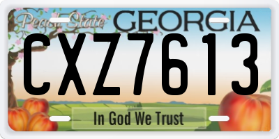 GA license plate CXZ7613
