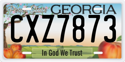 GA license plate CXZ7873