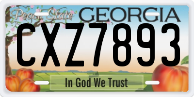 GA license plate CXZ7893