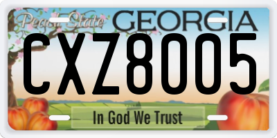 GA license plate CXZ8005