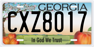 GA license plate CXZ8017