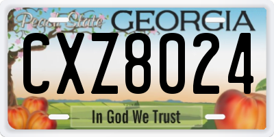GA license plate CXZ8024