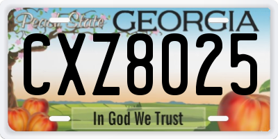 GA license plate CXZ8025