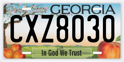 GA license plate CXZ8030