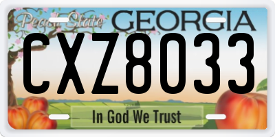 GA license plate CXZ8033