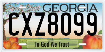 GA license plate CXZ8099