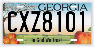 GA license plate CXZ8101