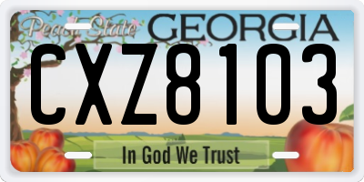 GA license plate CXZ8103