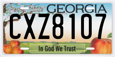 GA license plate CXZ8107