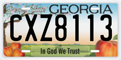 GA license plate CXZ8113