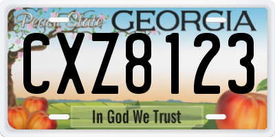 GA license plate CXZ8123