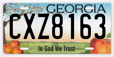 GA license plate CXZ8163