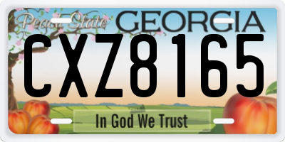 GA license plate CXZ8165