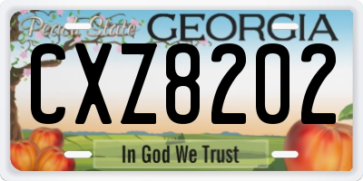GA license plate CXZ8202