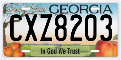 GA license plate CXZ8203