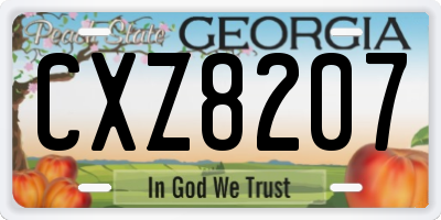GA license plate CXZ8207