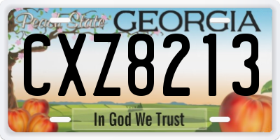 GA license plate CXZ8213