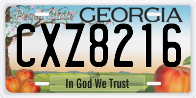 GA license plate CXZ8216
