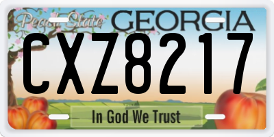 GA license plate CXZ8217