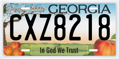 GA license plate CXZ8218