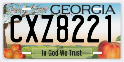 GA license plate CXZ8221