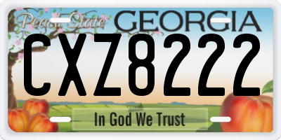GA license plate CXZ8222