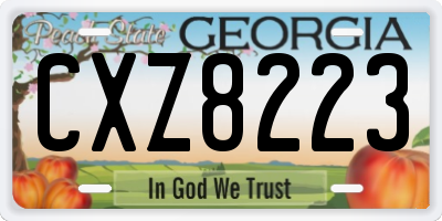 GA license plate CXZ8223