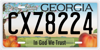 GA license plate CXZ8224