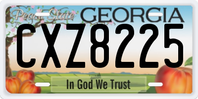 GA license plate CXZ8225