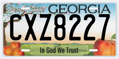 GA license plate CXZ8227