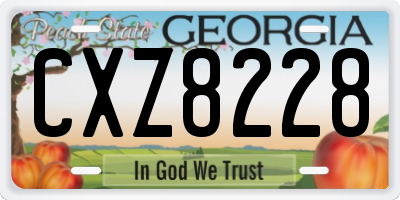 GA license plate CXZ8228