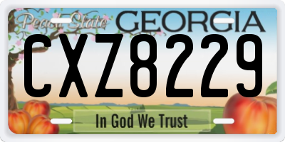 GA license plate CXZ8229