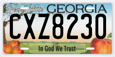 GA license plate CXZ8230