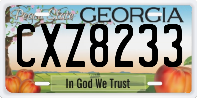 GA license plate CXZ8233