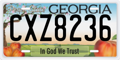 GA license plate CXZ8236