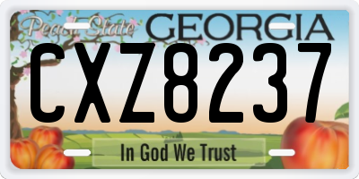GA license plate CXZ8237