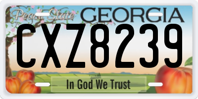 GA license plate CXZ8239