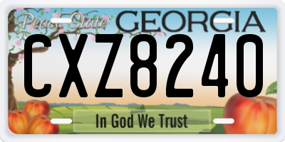 GA license plate CXZ8240