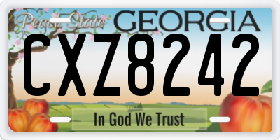 GA license plate CXZ8242