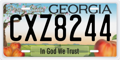 GA license plate CXZ8244