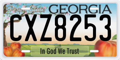 GA license plate CXZ8253