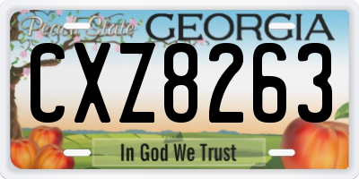 GA license plate CXZ8263