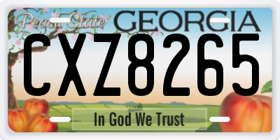 GA license plate CXZ8265