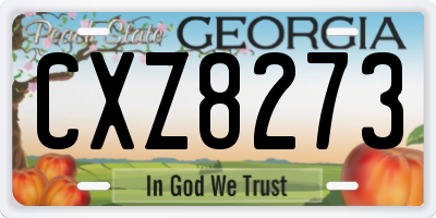 GA license plate CXZ8273